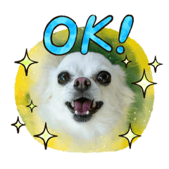 nishimo_20250913232414