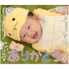 kitten_20250913234039