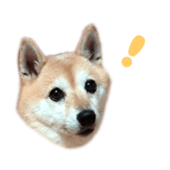 m_20250913210600