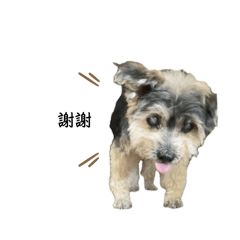 球球&Candy(日常版）