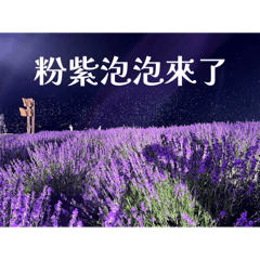 生活就是這樣愜意