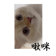 迪迪的專屬貼圖