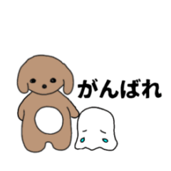 Maru Dog 1