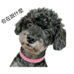 QQ日常表情包～