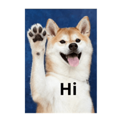 小可愛檳榔的日常