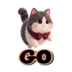 Ging_fat_cat cxm pwn-001