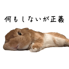 Misaki_20250913144510