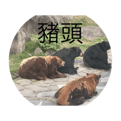 指定、特製的貼圖