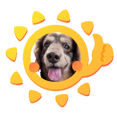 vivimama_20250913192032