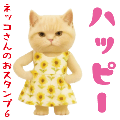 Easy-to-use cat sticker6.