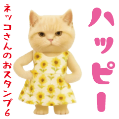 Easy-to-use cat sticker6.