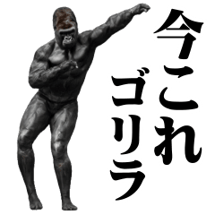めちゃ動く!!今これゴリラ !!!