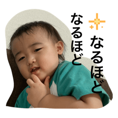 yanagi_20250912101240