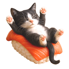 Silent Hachiware: Feel It Without Words