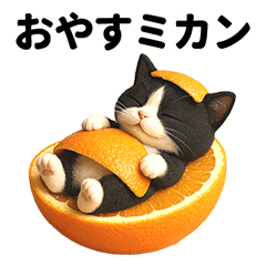 Pun Hell of the Bicolor Cat