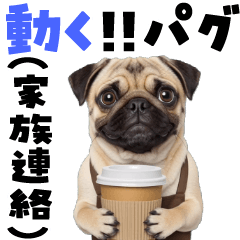 Moving Family Communication Pug