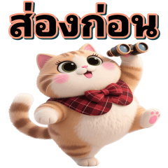 Big fat_cat cxm pwn-001