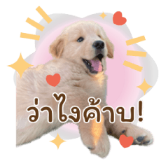 เลม่อนกู๊ดบอย v.1