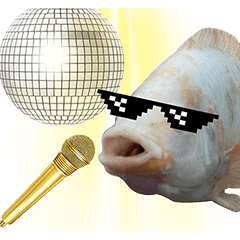 クールな魚！！！