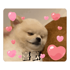 巴索&波波ㄉ日常