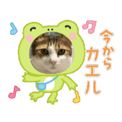 koko_20250915084457