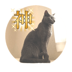 azukoma_20250914125335
