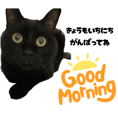 vivimama_20250914125746