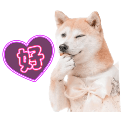 麻亮乳三姊妹_稀鬆日常