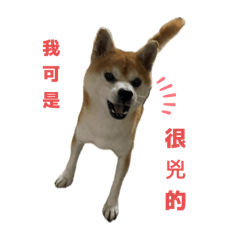 個性小凱