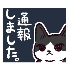 ハチワレ猫です。