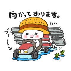 The daily life of a farm cat 2