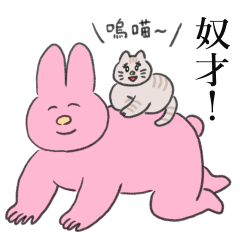 有貓的每一天都是幸福的