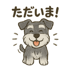 Miniature Schnauzer Daily Stickers2