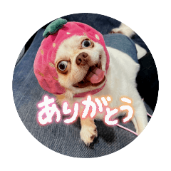 sskusan0626_20250912182100