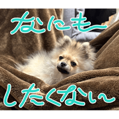 hikari_20250914004939