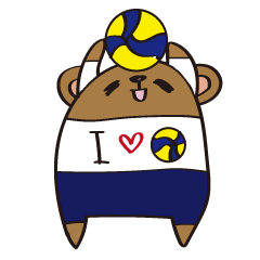 I LOVE Volley Ball.
