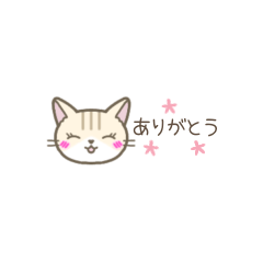 【小さい】トラ猫さん