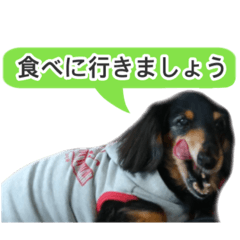 maaaaaa_20250914193218