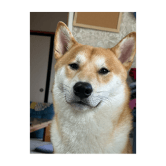 mahiro_20250914152109