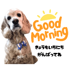 vivimama_20250914100220