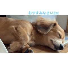 koko_20250914172218
