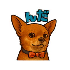 koara_20250914214803