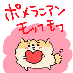 cute Pomeranian!