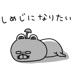 ネガティブすぎるりーちゃん