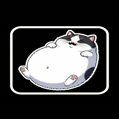 Yuanyuan and Xiaozhuo-Cats