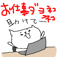 cute business cat cat !