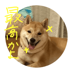 yamada_20250914120233