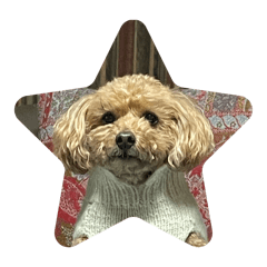 eriko_20250914181906