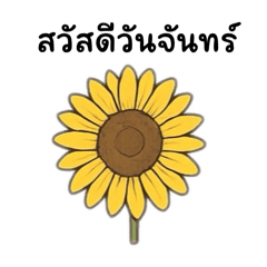 Wanwanat_20250914165833