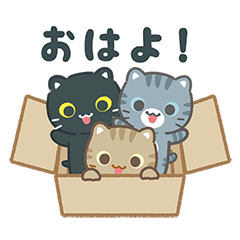 飛び出す！3びきのこねこ♪